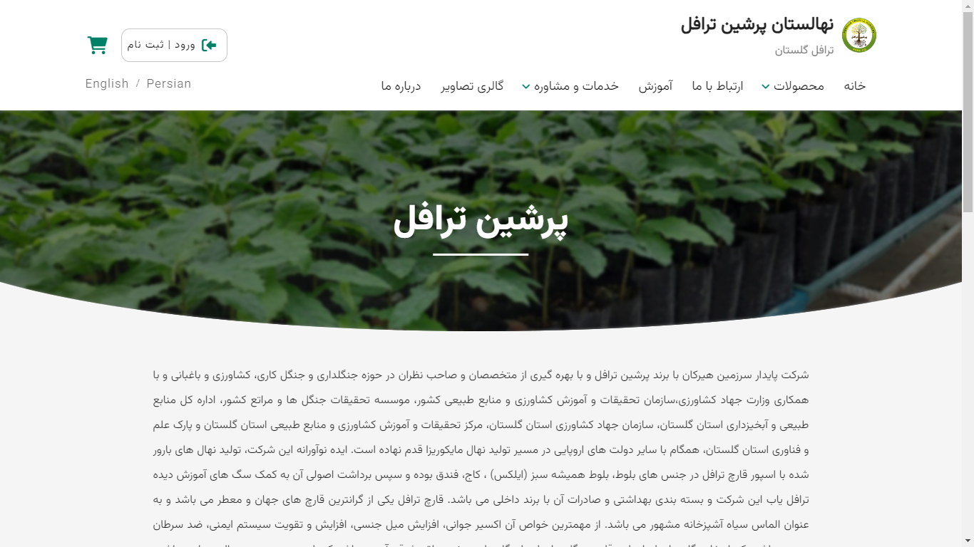 وینی وب